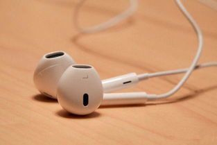 電子與電氣的融合 驅動現代世界的核心技術